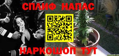 твердый Новодвинск