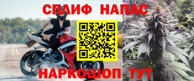 МДПВ Новокубанск